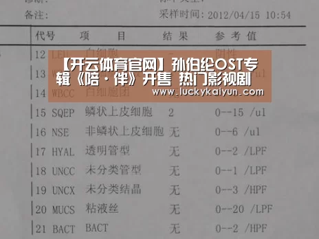 【开云体育官网】孙伯纶OST专辑《陪·伴》开售 热门影视剧不可或缺的男声