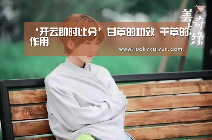 开云体育官网
