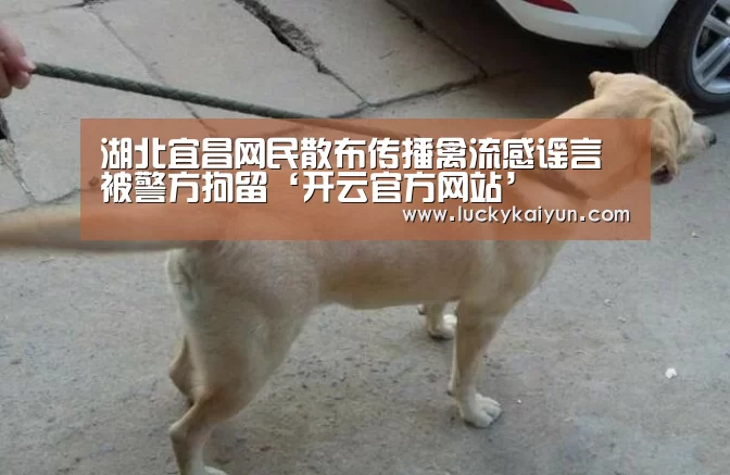 湖北宜昌网民散布传播禽流感谣言被警方拘留‘开云官方网站’(图3) 开云官方网站